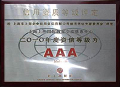 2010年度AAA企业